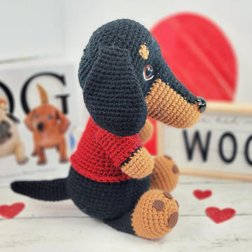 Dachshund