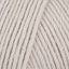 Feather Grey (875)