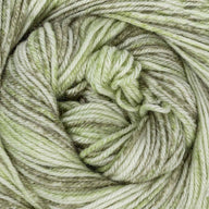 Fern (107)