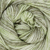 Fern (107)