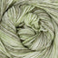 Fern (107)