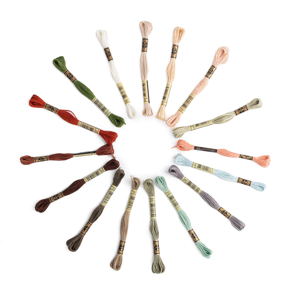 DMC Stranded Cotton Earthy Tones 16 Colour Pack