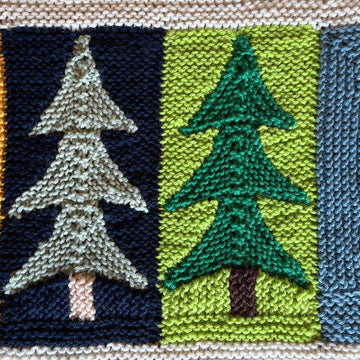 Camp Along Blanket