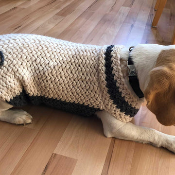 Hundepullover gestrickt