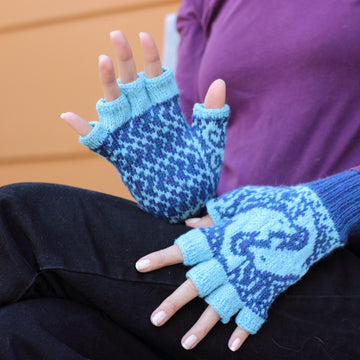 Dancing Dolphin Mitts