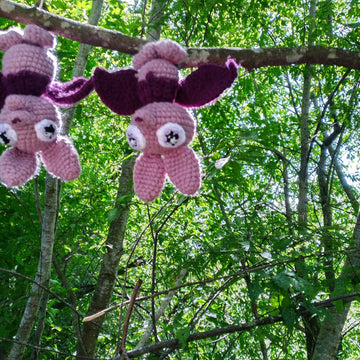 Woodland Friends: Sister and Baby Brother Bat