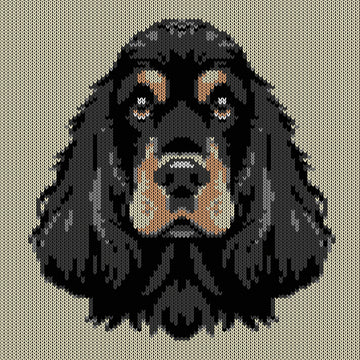Cocker Spaniel Portrait Knitting Chart