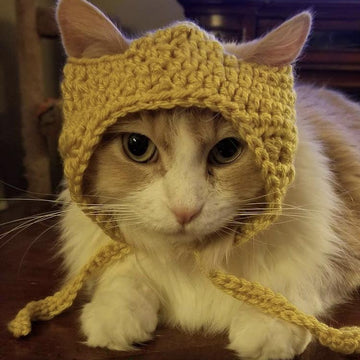 Cat Hat and Beanie Pattern