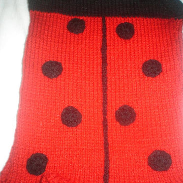 Lady Bug Toddler Halter
