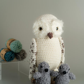 Baby Owl Karel