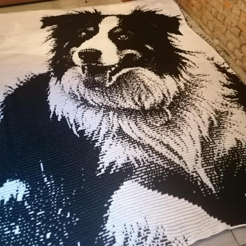 Overlay Mosaic "BORDER COLLIE 2"