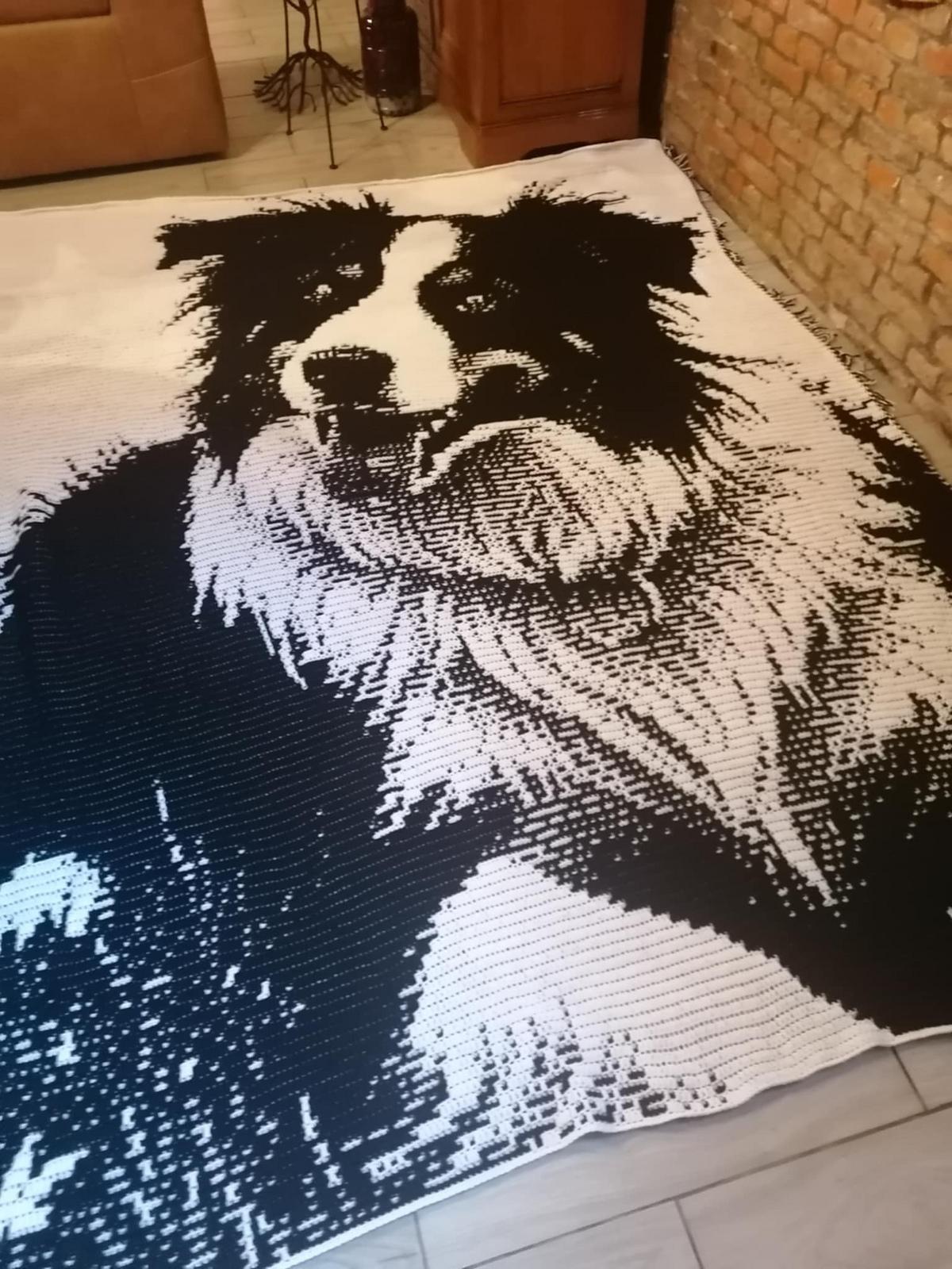 Overlay Mosaic "BORDER COLLIE 2"