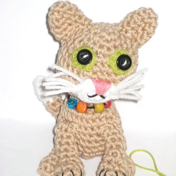 Cat with necklace