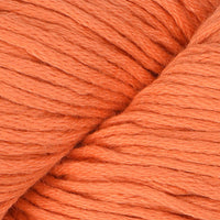 Salmon Upstream (25)