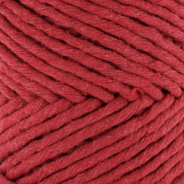 Ruby (S1000)