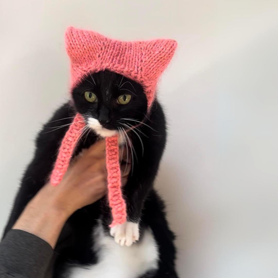 Cat hat for cat with kitty ears