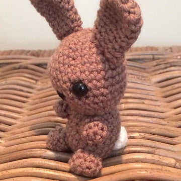 Mr Buns the tiny bunny rabbit