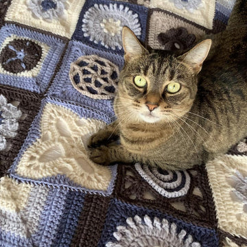 Crochetabunga Blanket