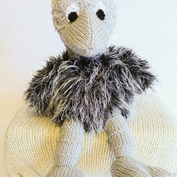 Oscar the Ostrich Chick
