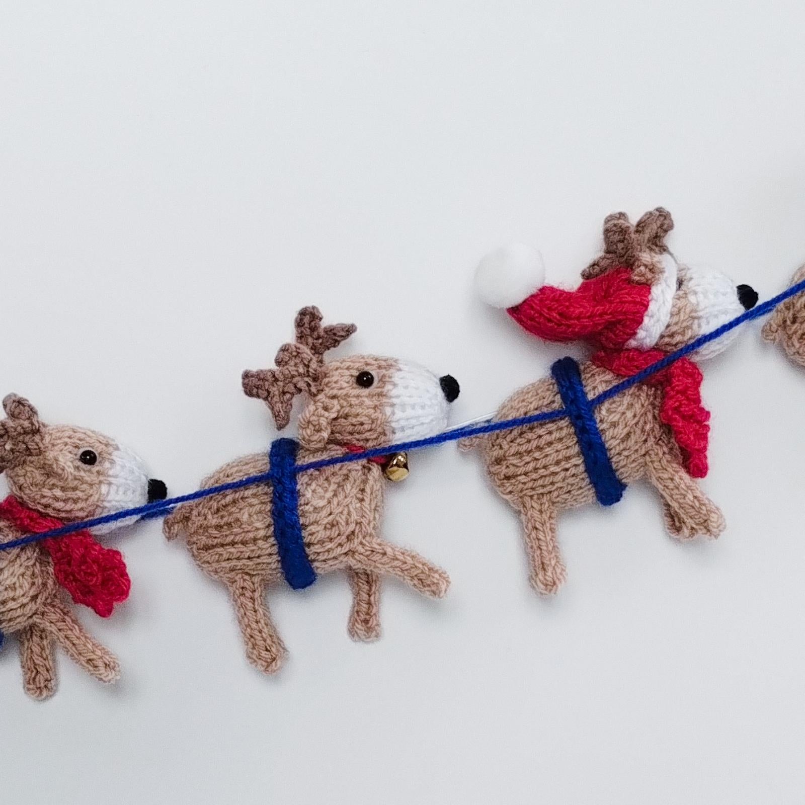 Santa Sleigh Ride