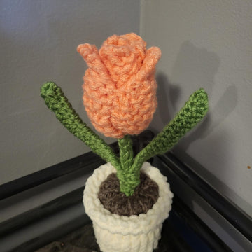 Potted Tulip (loom knit)