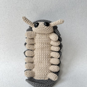 Roly Poly Pill Bug