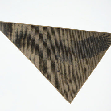 Eagle Illusion
