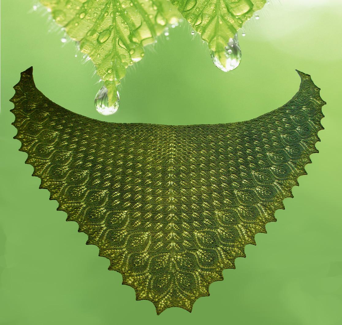 Rainforest Shawl