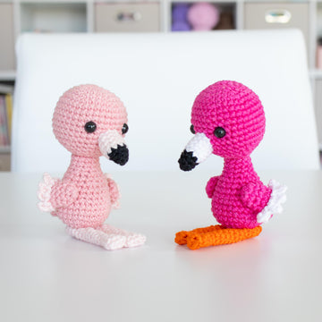 Baby Flamingo