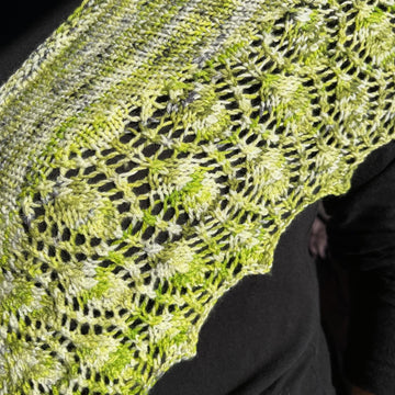 Summer Aspen Shawlette