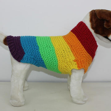 Chunky Spectrum Dog Coat
