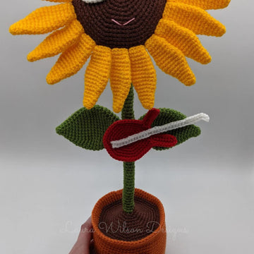 Rockin' sunflowers