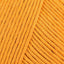 Yellow Mellow (15)