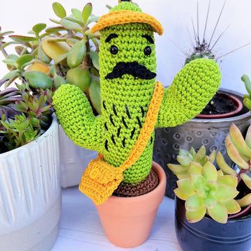 Curtis the Cactus