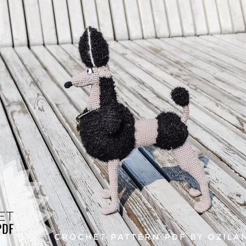 Black Persephone the poodle dog