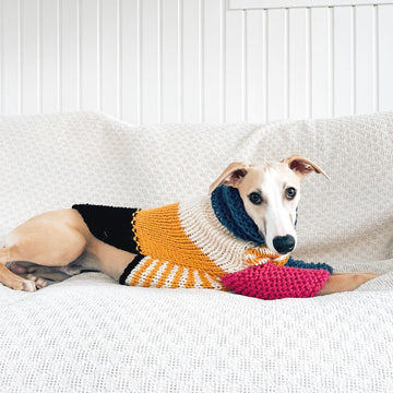 Doggo no 5 sweater