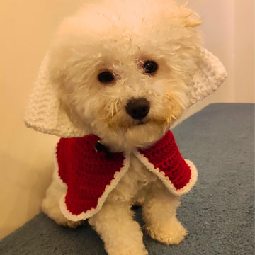 Elegant Christmas pet cape cloak coat