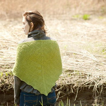 Stoneleaf Shawl