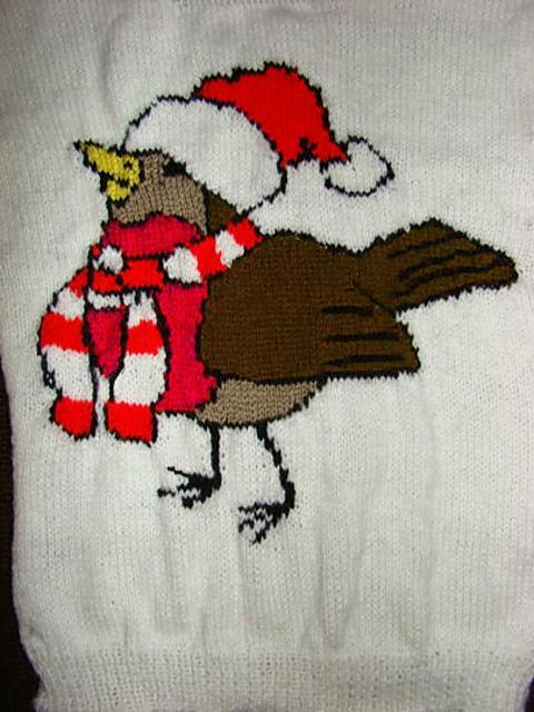 Cute Christmas Robin Jumper