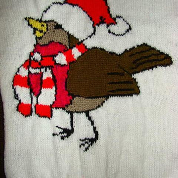 Cute Christmas Robin Jumper