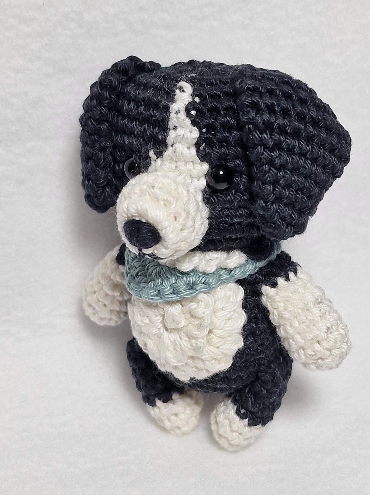 Border Collie Dog
