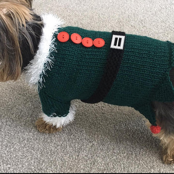 Christmas Elf Dog Costume