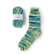 Zebra - Lagoon (SZ01)