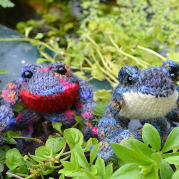 Frog