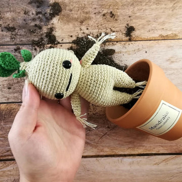 Mandrake