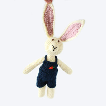 Jackson Rabbit
