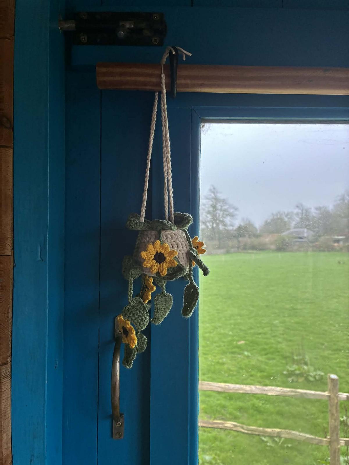Mini Hanging Sunflower Plant