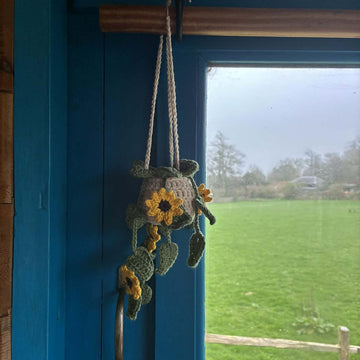 Mini Hanging Sunflower Plant