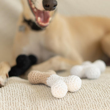 Doggo bone