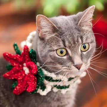 Holiday Cat Collar in Red Heart Holiday - LW2642 - Downloadable PDF